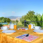 Rioddi Volterra